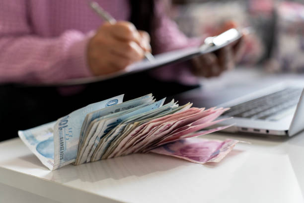 Bütçe Haziran'da 114,2 Milyar TL Fazla Verdi
